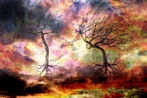 "Dancing Trees (Haiku Photography)"
