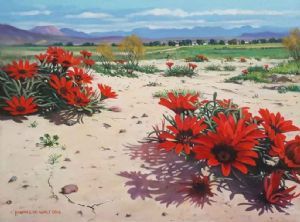 "Scarlet Surprise near Robertson"