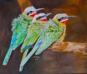 "Whitefronted Bee-Eaters"