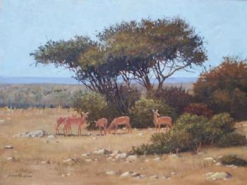 "Bushveld with Impala"
