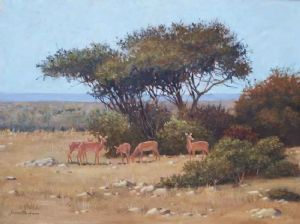 "Bushveld with Impala"