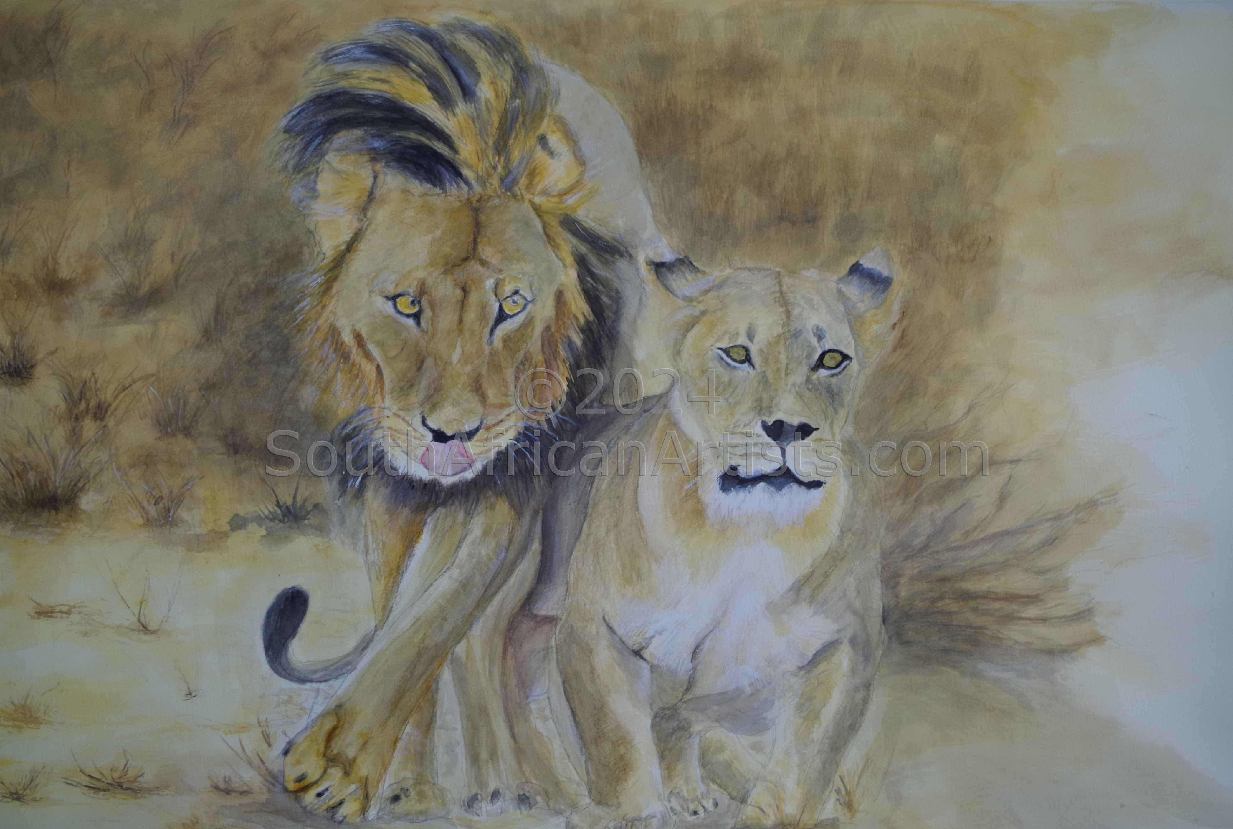 lion mating drawing