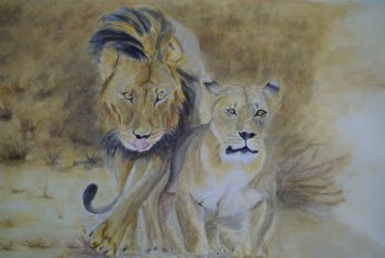 "Lions - the Mating Game"