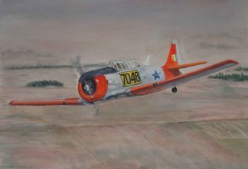 "Harvard 7048"