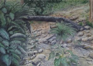 "Baviaanskloof - Fallen Tree"