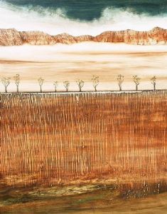 "Dryland Farm- Aloe Dichotoma"