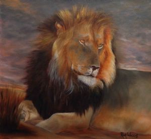 "Kalahari Lion"