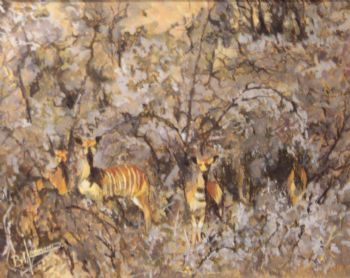 "Nyala  Ewes"