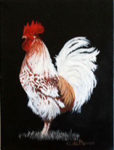 "Rooster #460"