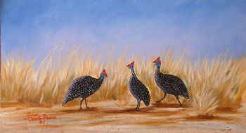 "Guinea Fowl"