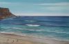 "Seagulls at Elands Bay "