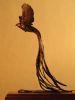 "Long Tailed Widow"