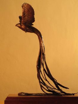 "Long Tailed Widow"