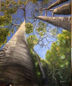 "Looking Up Into the Baobabs"