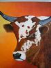 "Nguni 1"