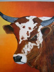 "Nguni 1"