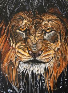 "Grumpy Lion"