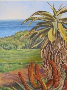 "Aloes, Schoenmakerskop"