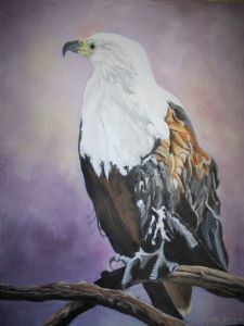 "Fish Eagle"