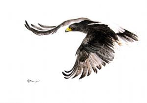 "Black Eagle"