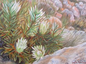"Fynbos"