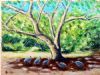 "Guinea Fowl Under a Tree"