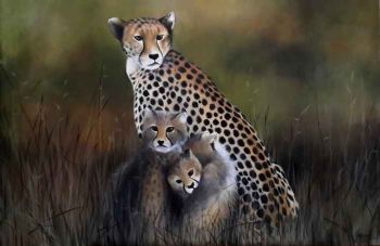 "Cheetah Family"