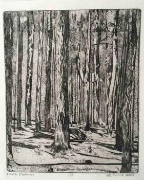 "Forest"