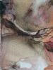 "Rock Pools I"