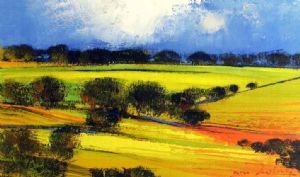 "Canola Fields"