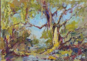 "Eucolyptus Tree"