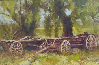 "Ox Wagons"
