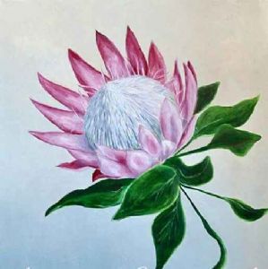 "King Protea "