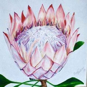 "King Protea The Great "
