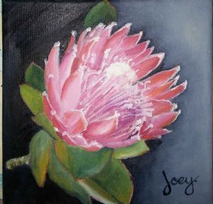 "Protea 1"