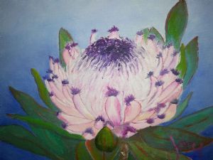 "Western Cape Fine Bush"