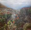 "Fynbos Landscape"