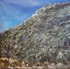"Fynbos Landscape"