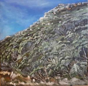 "Fynbos Landscape"