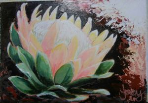 "Protea 2"
