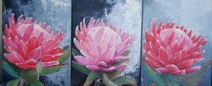 "Protea 5 6 7"