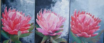 "Protea 5 6 7"