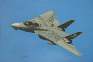 "Tomcat"