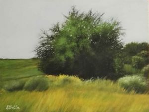 "Summer Green"