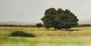"Summer Fields"