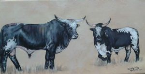 "The Ngunis"