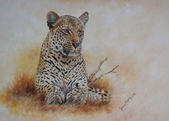 "Leopard Portrait "
