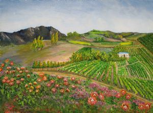 "Proteas on a Wine Farm"