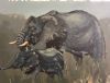 "Elephants 2"