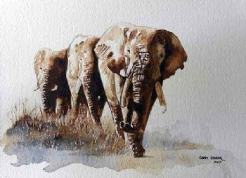 "Wc Elephants"